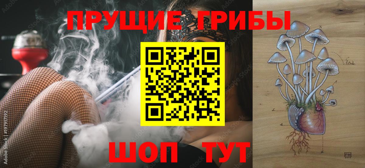 Псилоцибиновые грибы GOLDEN TEACHER Волжск